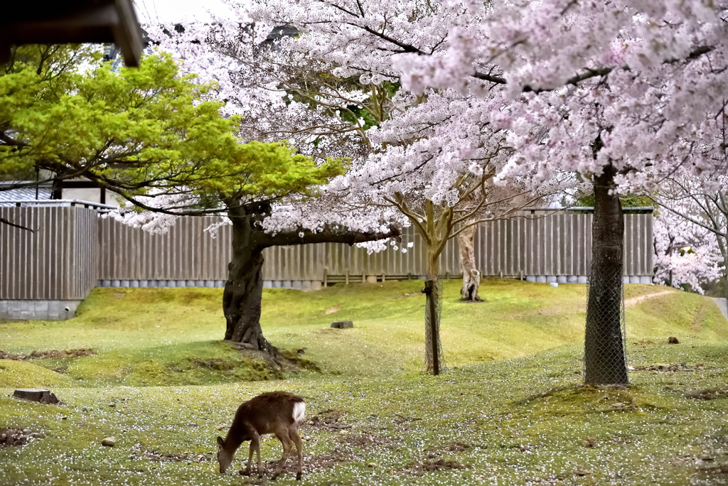 寒くても