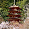 昭和の名塔