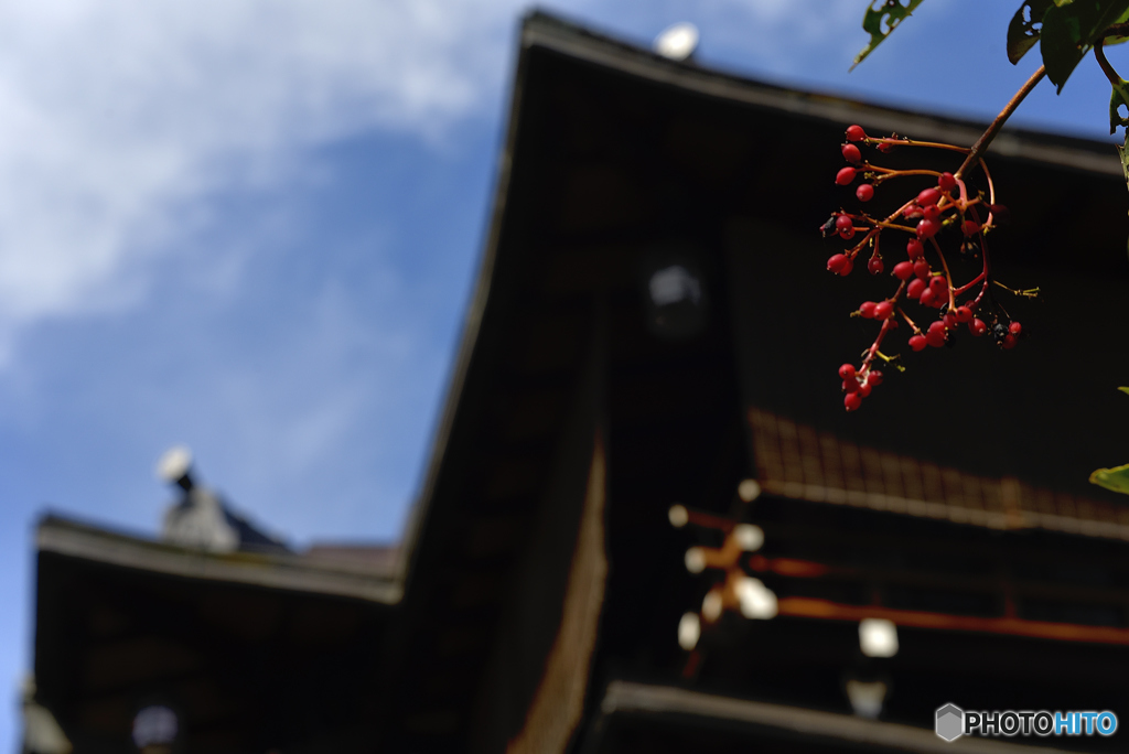 晩夏