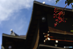 晩夏