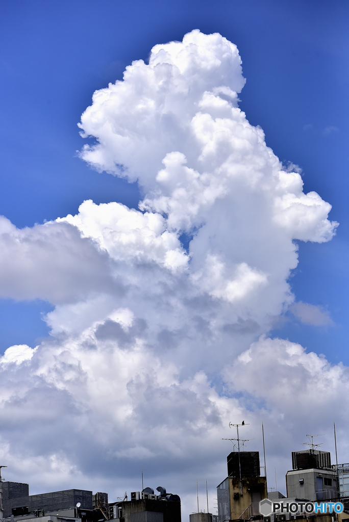 酷暑のち豪雨