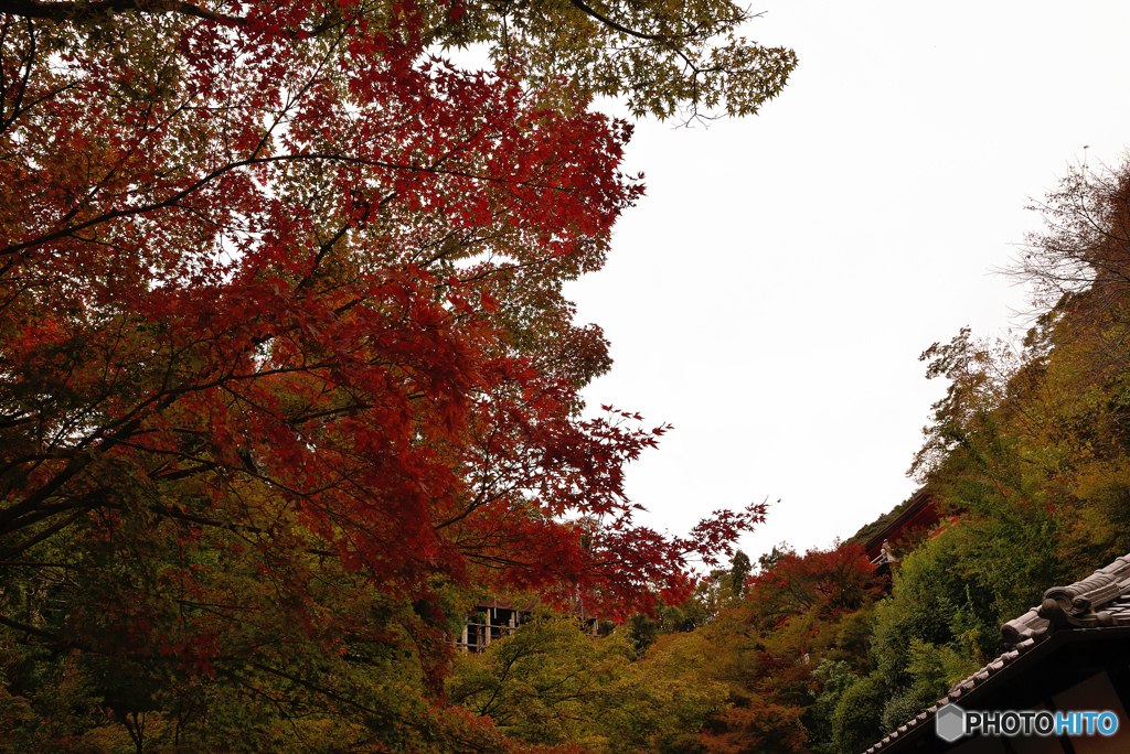 清水寺の秋