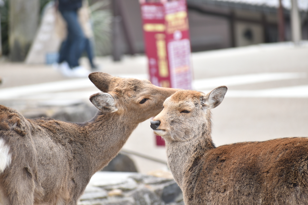 えへ♥️