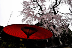 京都茶屋