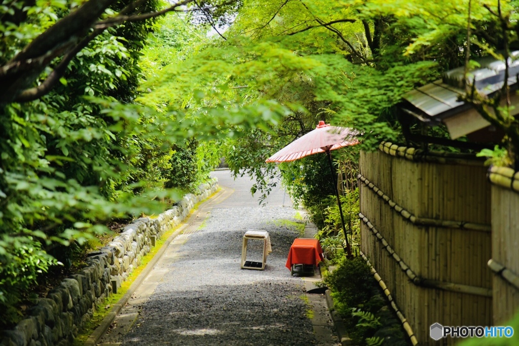 和の趣 ～京都龍安寺 竹林の里編～