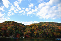 岩山にそびえたつ木々達