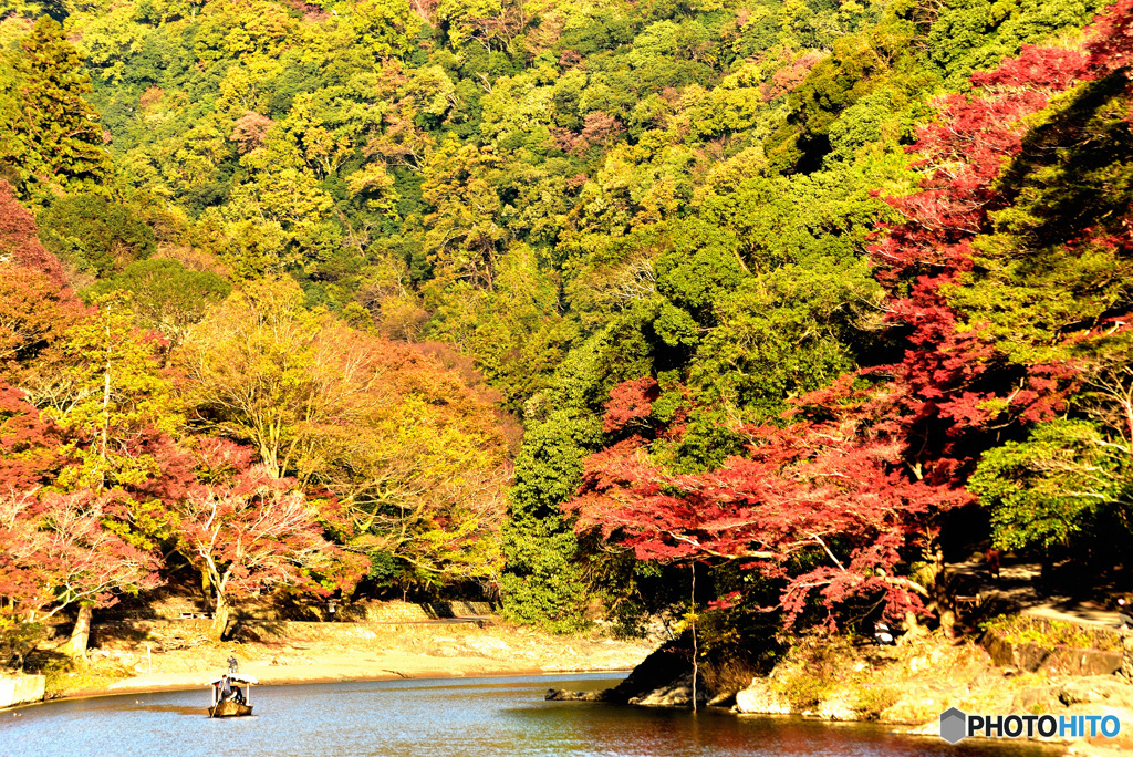 山々を渡る