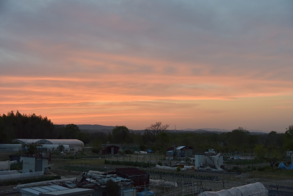 田舎の川の堤防からの夕焼け