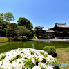967度目の皐月