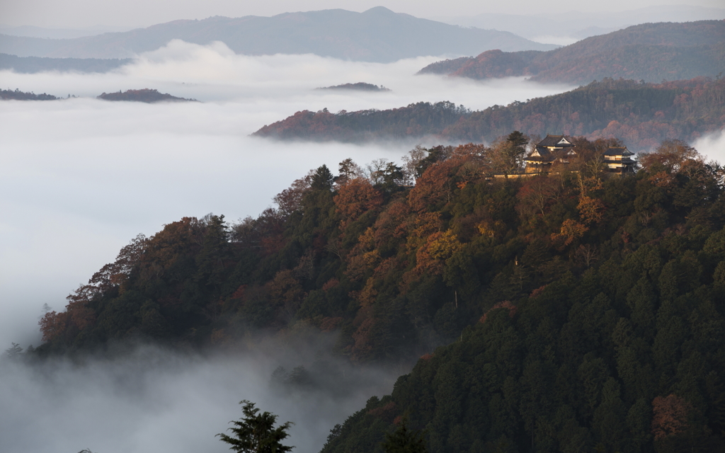 備中松山城　雲海