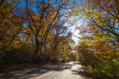 大山環状道路