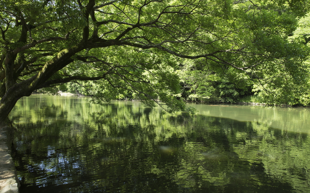 栗林公園