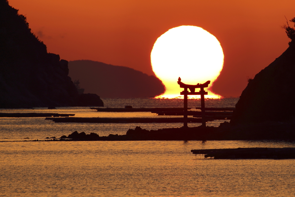長島　昇陽