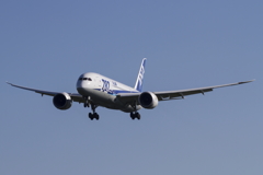 B787