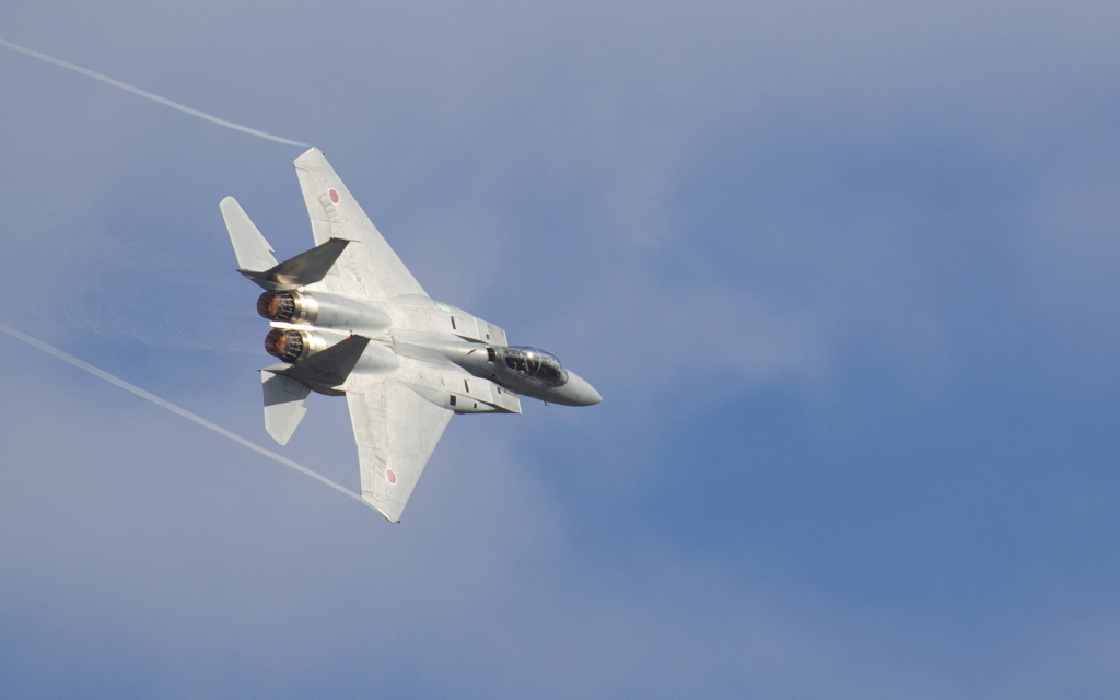 岐阜基地航空祭2017 F-15
