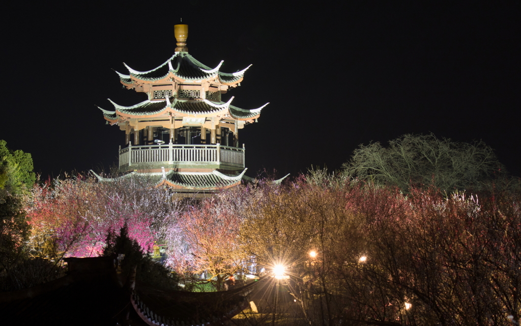 世界の梅公園