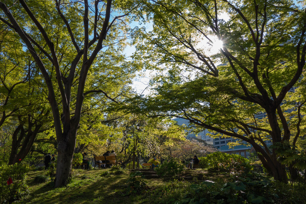 日比谷公園