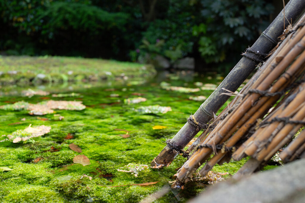 栗林公園　水路