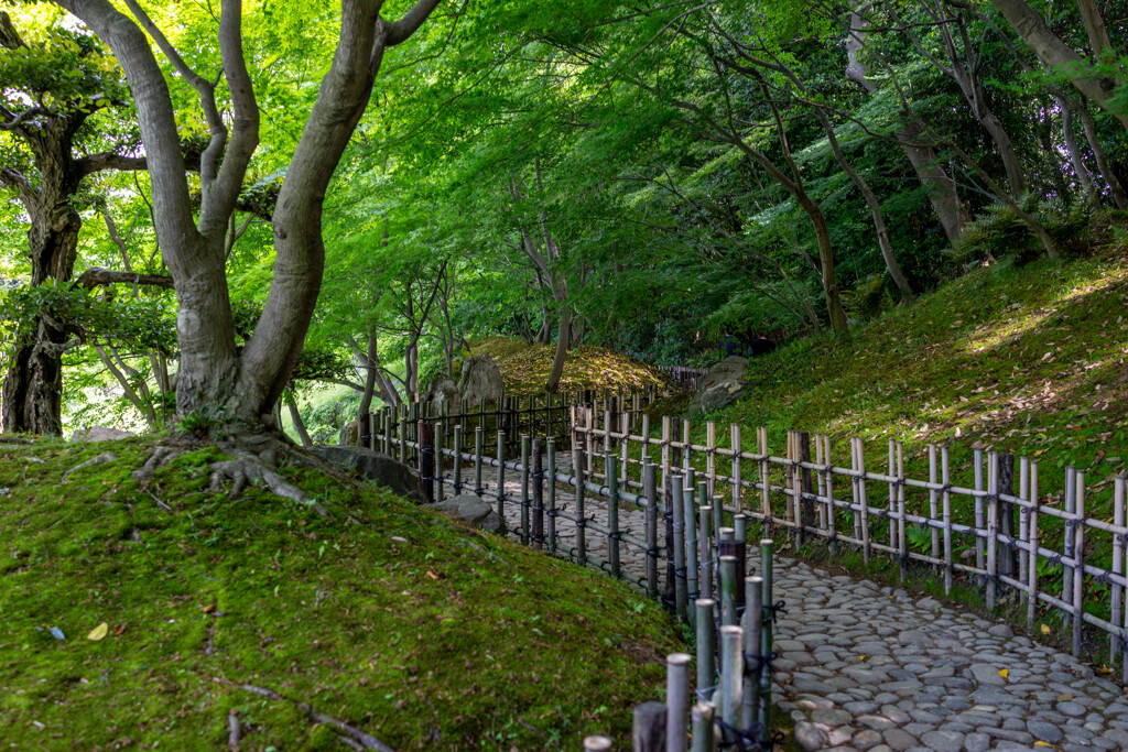 栗林公園　小路