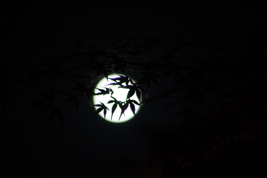 月