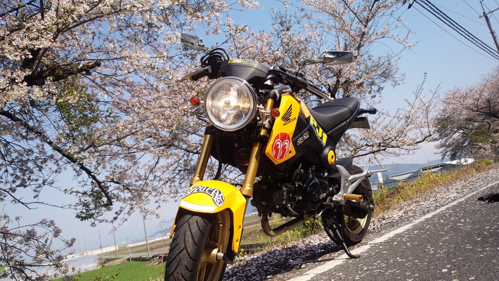 天気がいい