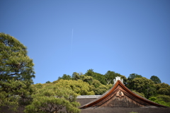五月晴れ