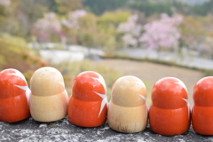 花見