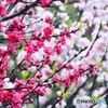 spring♪♪
