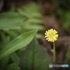 ちっちゃ！