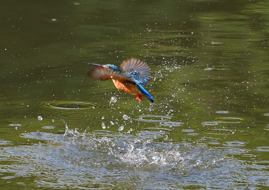 水飛沫　５/１❺