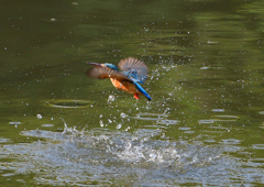 水飛沫　５/１❺