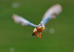 ホバる　７/１２②