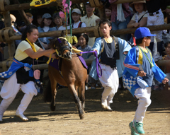 おまんと祭り④