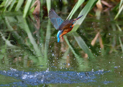 いつもの公園で　９/１２❼