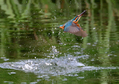 いつもの公園で　９/２６❾