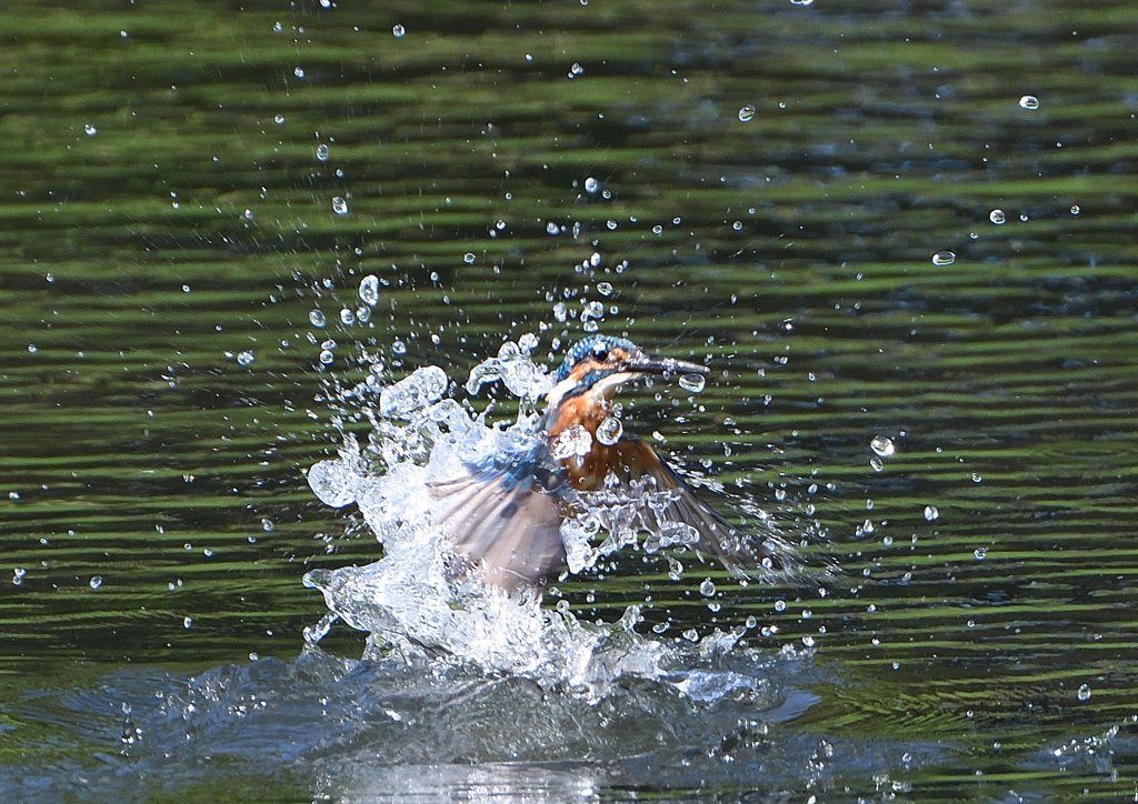 水飛沫　９/１２❽
