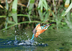 いつもの公園で　９/１４❷