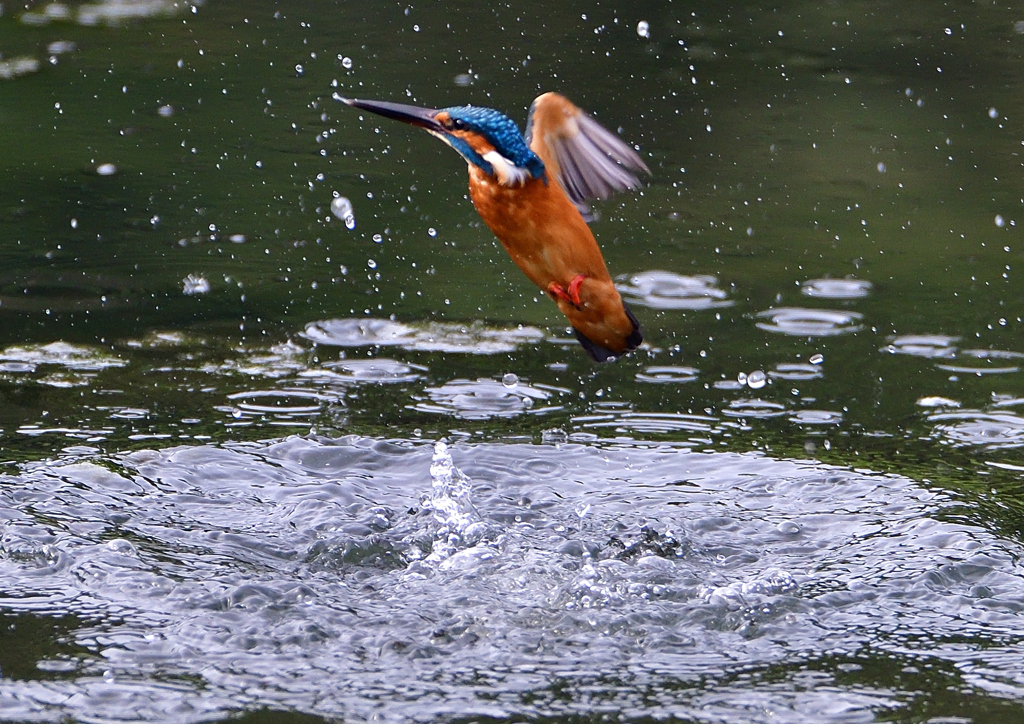 いつもの公園で　９/２４❺