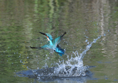 ダイブ　５/７❷