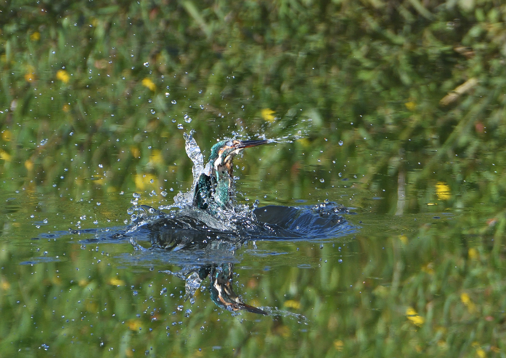  浮かび上がった