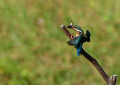 いつもの公園で　９/６❼