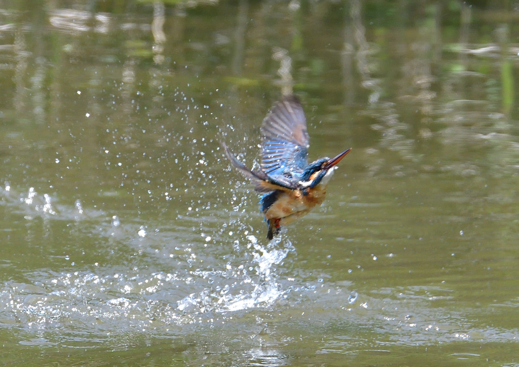 水飛沫　５/５❾