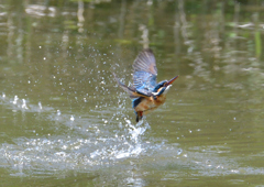 水飛沫　５/５❾