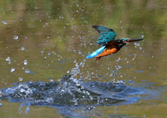 いつもの公園で　１０/２７❼