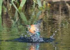 _191009_071318 DSC_8901