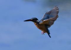 緩急自在　９/３❹