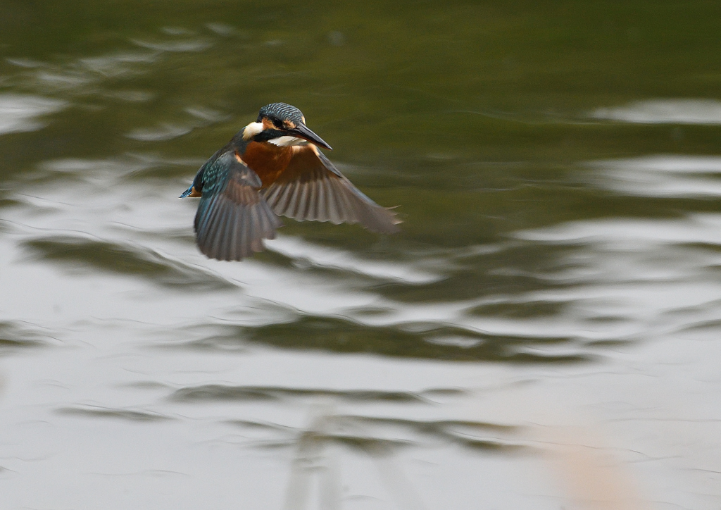 ホバ、ホバる❷