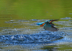いつもの公園で　９/２６❷