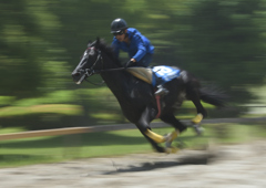  いなべ草競馬①