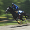  いなべ草競馬①